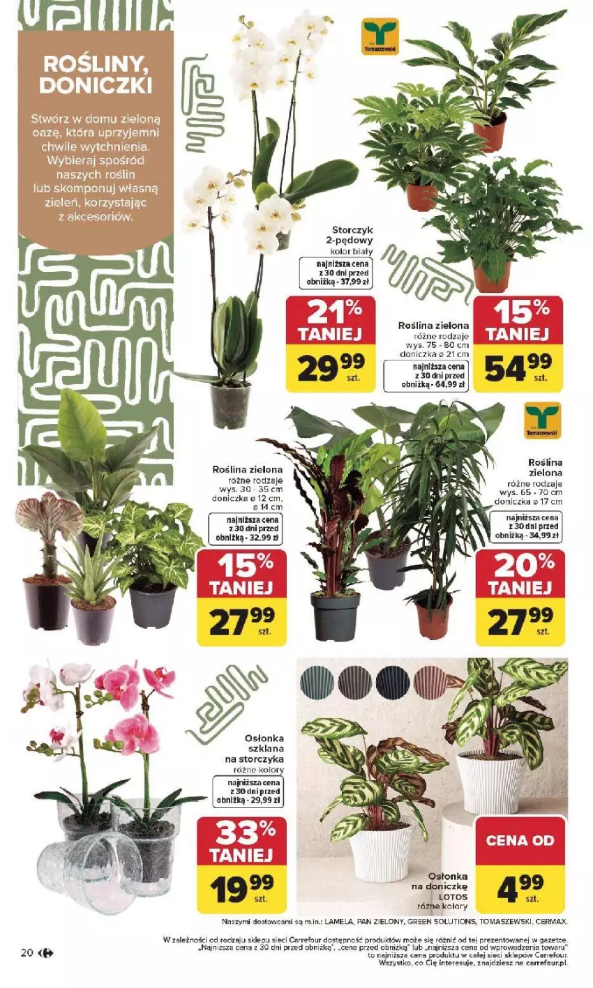 Gazetka promocyjna Carrefour - Gazetka Dom dla Twojej wygody - ważna 12.01 do 31.01.2026 - strona 20 - produkty: LANA, Osłonka, Storczyk