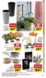 Gazetka promocyjna Carrefour - Gazetka Dom dla Twojej wygody - Gazetka - ważna od 31.01 do 31.01.2026 - strona 21 - produkty: Sok, LEGO, Storczyk, Filiżanka, Bukiet, Osłonka