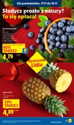Gazetka promocyjna Lidl - GAZETKA - Gazetka - ważna od 19.11 do 19.11.2025 - strona 15 - produkty: Ananas