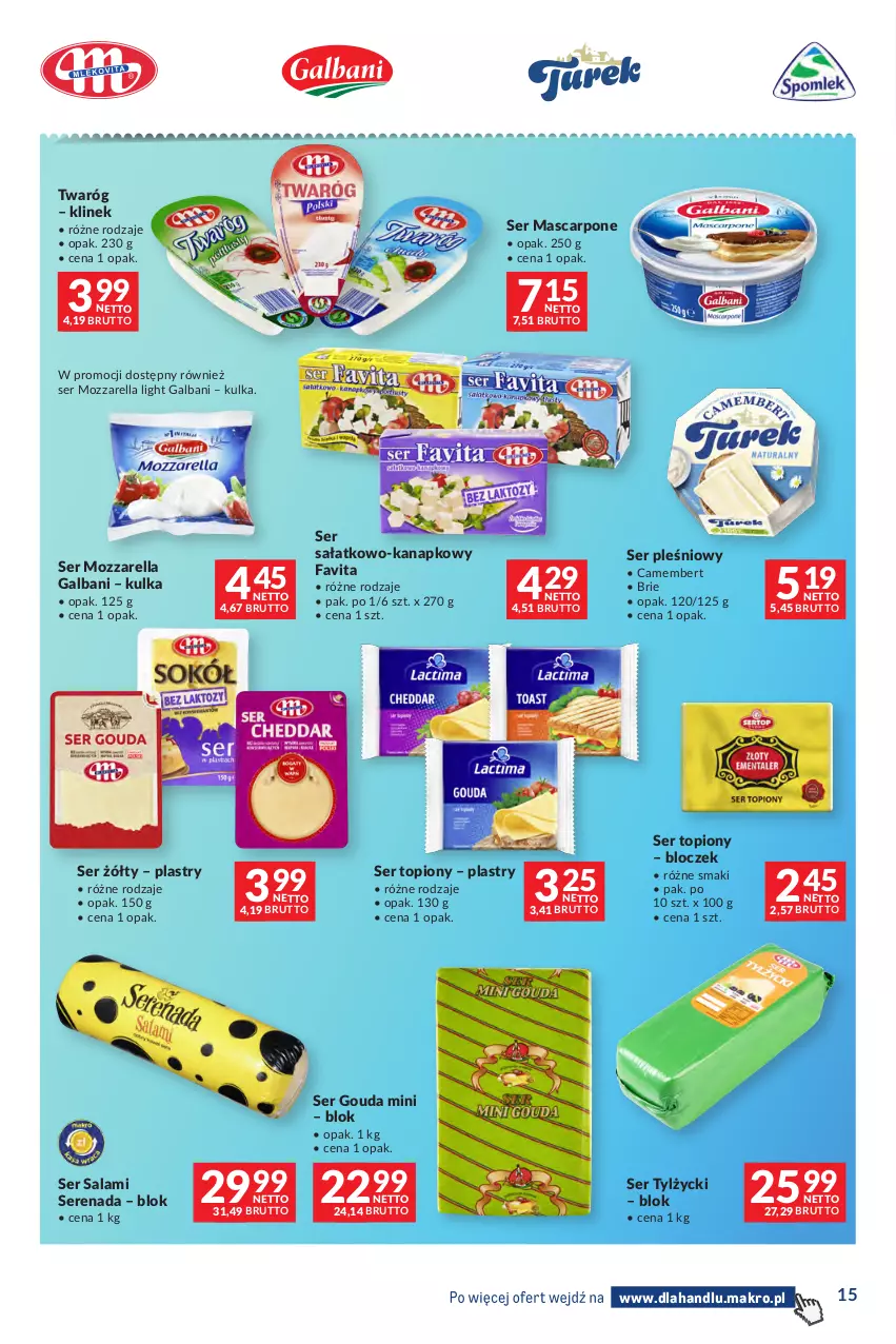 Gazetka promocyjna Makro - Dystrybucja do sklepów - ważna 29.09 do 26.10.2026 - strona 15 - produkty: Brie, Camembert, Fa, Favita, Galbani, Gouda, Mascarpone, Mozzarella, Salami, Sałat, Ser, Ser pleśniowy, Ser salami, Ser sałatkowo-kanapkowy, Ser topiony, Ser tylżycki, Top, Twaróg
