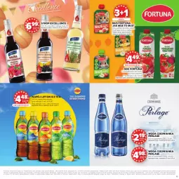 Gazetka promocyjna Stokrotka - Katalog Urodziny! - Gazetka - ważna od 24.09 do 24.09.2025 - strona 33 - produkty: Warzywa, Sok, Mus, Gra, Ice tea, Fortuna, Lipton, Syrop, Owoce, Woda, Napój, Cisowianka, Mięso