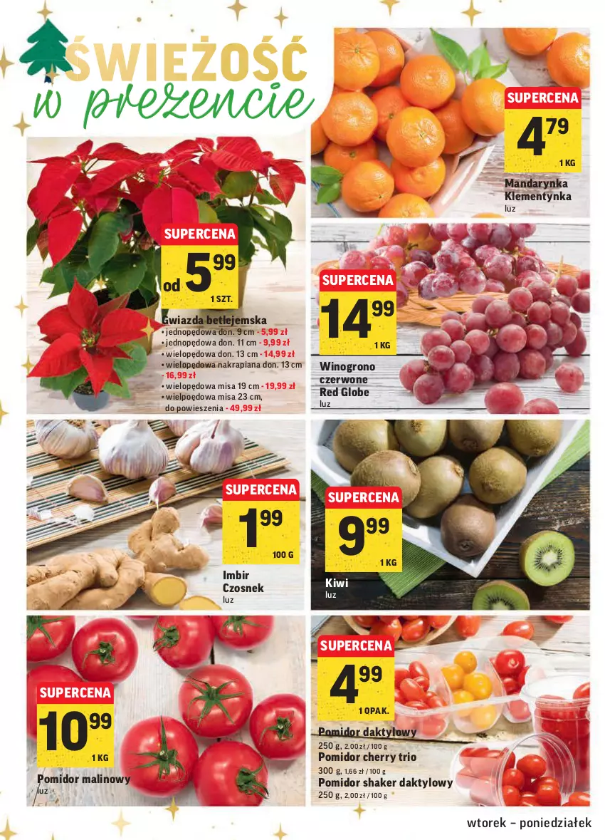 Gazetka promocyjna Intermarche - Gazetka promocyjna - ważna 07.12 do 13.12.2021 - strona 18 - produkty: Czosnek, Gwiazda, Imbir, Kiwi, Pomidor malinowy, Wino