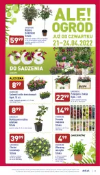 Gazetka promocyjna Aldi - Katalog spożywczy - Gazetka - ważna od 24.04 do 24.04.2022 - strona 25 - produkty: Sok, Cień