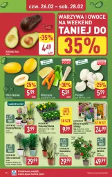 Gazetka promocyjna Aldi - Pełna oferta - Gazetka - ważna od 28.02 do 28.02.2026 - strona 32 - produkty: Piec, Warzywa, Hiacynt, Zioła w doniczce, Warzywa i owoce, Laur, Narcyz, Owoce, Melon