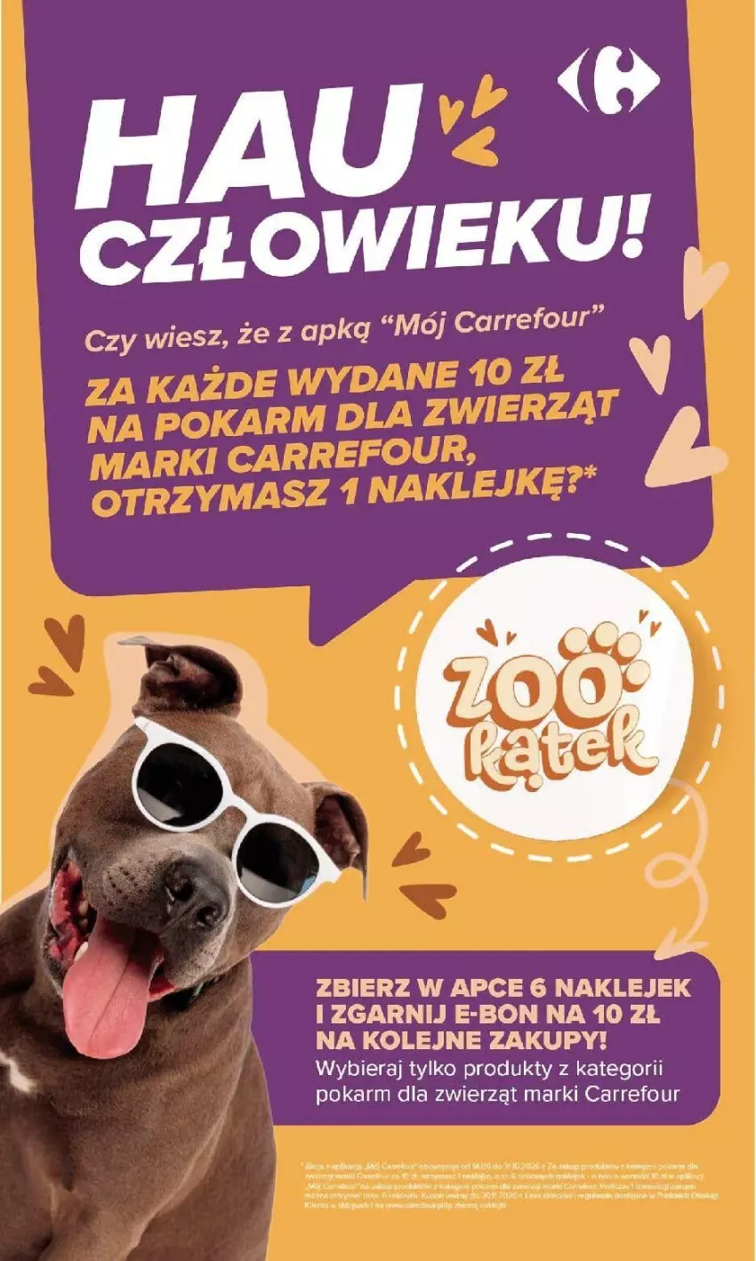 Gazetka promocyjna Carrefour - Gazetka Carrefour, Market w SUMIE najlepszy, od poniedziałku - ważna 21.09 do 26.09.2026 - strona 55 - produkty: Klej, Olej