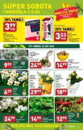 Gazetka promocyjna Aldi - Pełen katalog - Gazetka - ważna od 02.04 do 02.04.2023 - strona 23 - produkty: Krakus, Sok, Por, Hiacynt, Kalanchoe, Szynka, Sport, Narcyz, Mleko