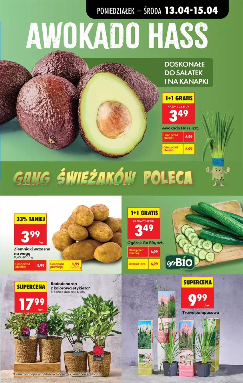 Gazetka promocyjna Biedronka - Od Poniedziałku - ważna 13.04 do 18.04.2026 - strona 31 - produkty: Wazon, Ziemniaki