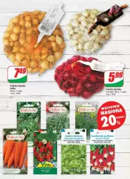 Gazetka promocyjna Dino - Gazetka - ważna od 16.01 do 16.01.2024 - strona 37 - produkty: Cebula, Sałata masłowa, Sałat, Masło, Rzodkiewka