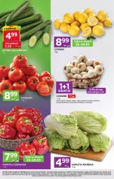 Gazetka promocyjna Stokrotka - Stokrotka Express - Gazetka - ważna od 28.05 do 28.05.2025 - strona 2 - produkty: Warzywa, Por, Gra, Papryka czerwona, Papryka, Czosnek, Cytryny, Owoce, Pomidory, Mięso