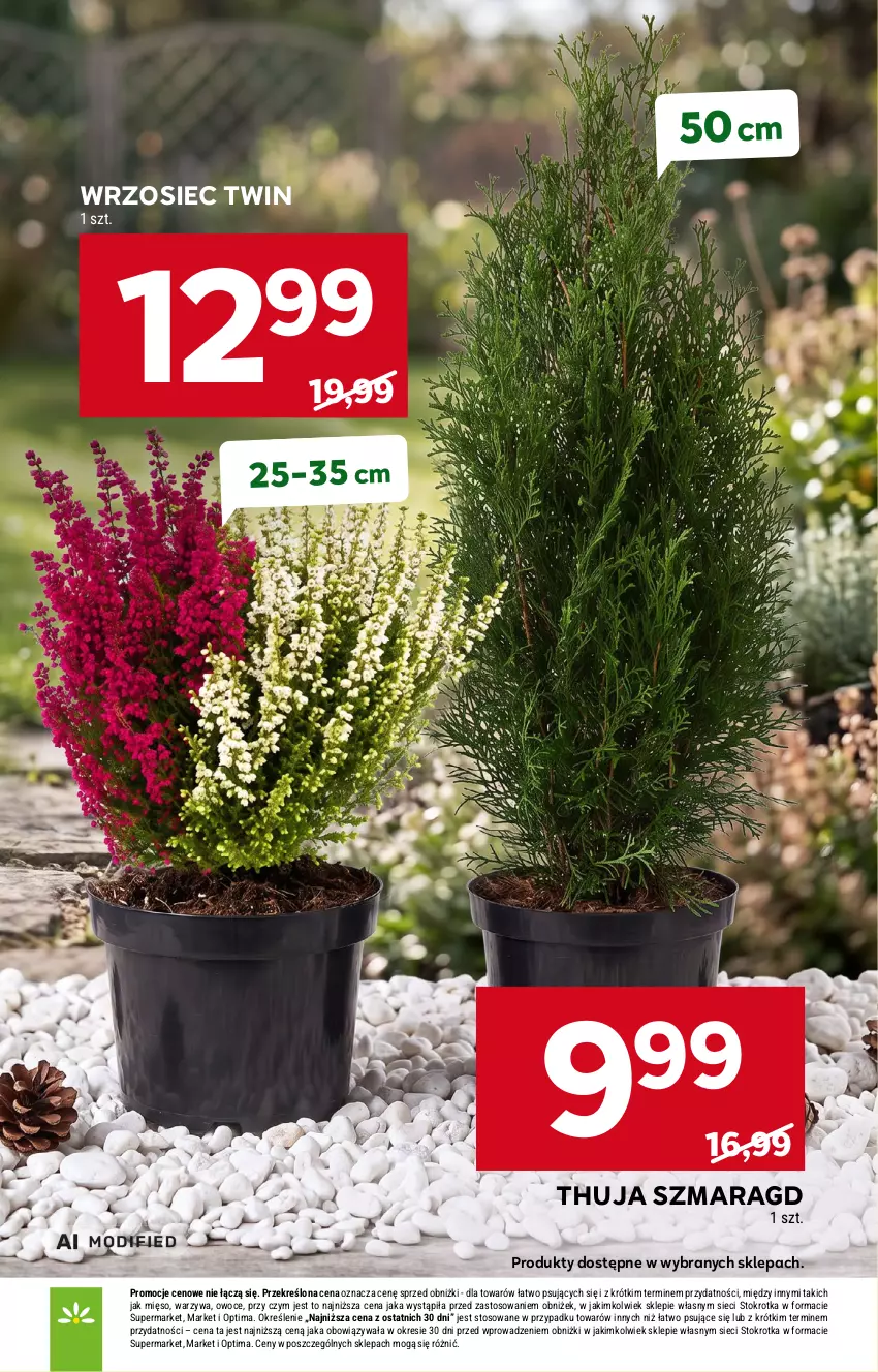 Gazetka promocyjna Stokrotka - Supermarket - ważna 24.09 do 30.09.2026 - strona 41 - produkty: Mięso, Optima, Owoce, Warzywa