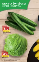 Gazetka promocyjna Biedronka - Gazetka - ważna od 29.04 do 29.04.2023 - strona 18 - produkty: Sok, Sałata lodowa, Sałat