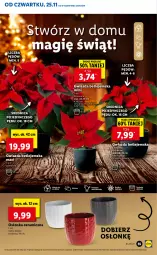 Gazetka promocyjna Lidl - GAZETKA OD 25.11 DO 28.11 - Gazetka - ważna od 28.11 do 28.11.2021 - strona 55 - produkty: Cień, Gwiazda, Osłonka