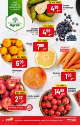 Gazetka promocyjna PoloMarket - Gazetka pomocyjna - Gazetka - ważna od 15.11 do 15.11.2022 - strona 12 - produkty: Mandarynki, Pomelo, Gruszki, Ogród, Pomidory, Jabłka