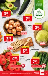 Gazetka promocyjna PoloMarket - Gazetka pomocyjna - Gazetka - ważna od 15.11 do 15.11.2022 - strona 13 - produkty: Cebula, Ogórek, Ogród, Pomidory