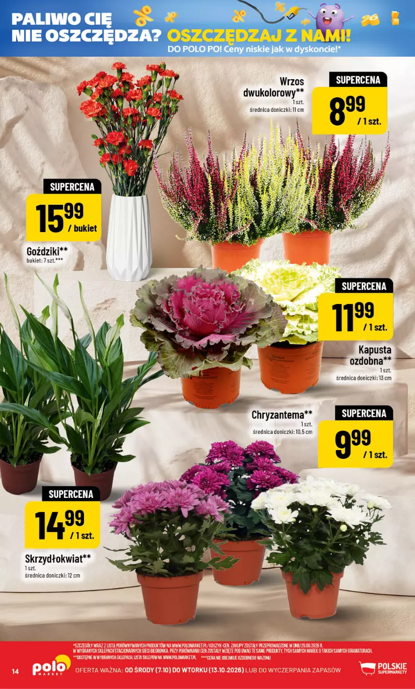 Gazetka promocyjna PoloMarket - Gazetka POLOmarket - ważna 07.10 do 13.10.2026 - strona 14 - produkty: Bukiet, Chryzantema