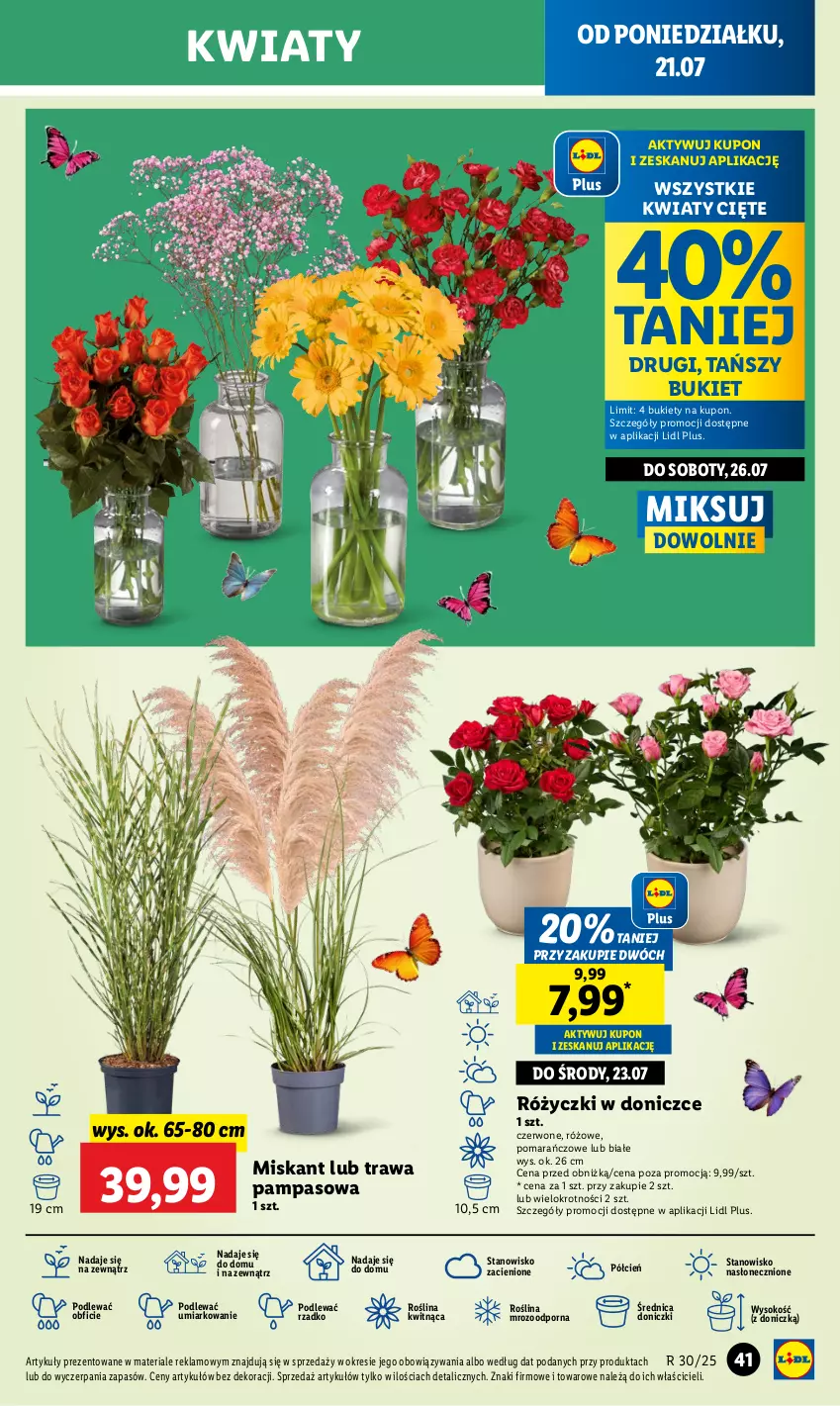 Gazetka promocyjna Lidl - GAZETKA - ważna 21.07 do 23.07.2025 - strona 51 - produkty: Bukiet, Cień, Kwiaty cięte, Miska, O nas, Por, Sok