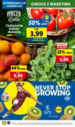 Gazetka promocyjna Lidl - GAZETKA - Gazetka - ważna od 23.07 do 23.07.2025 - strona 18 - produkty: Warzywa, Top, Owoce, Pomidory, Mięta