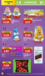 Gazetka promocyjna Lidl - GAZETKA - Gazetka - ważna od 05.04 do 05.04.2025 - strona 40 - produkty: Por, Czekolada, Baton, Kinder