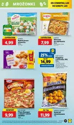 Gazetka promocyjna Lidl - GAZETKA - Gazetka - ważna od 05.04 do 05.04.2025 - strona 49 - produkty: Kurczak, Cheddar, Warzywa, Sos, Salami, Dr. Oetker, Pizza, Bukiet, Hortex, Fa