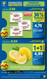 Gazetka promocyjna Lidl - GAZETKA - Gazetka - ważna od 05.04 do 05.04.2025 - strona 5 - produkty: Gra, Cytryny, Mlekovita, Masło, Mleko
