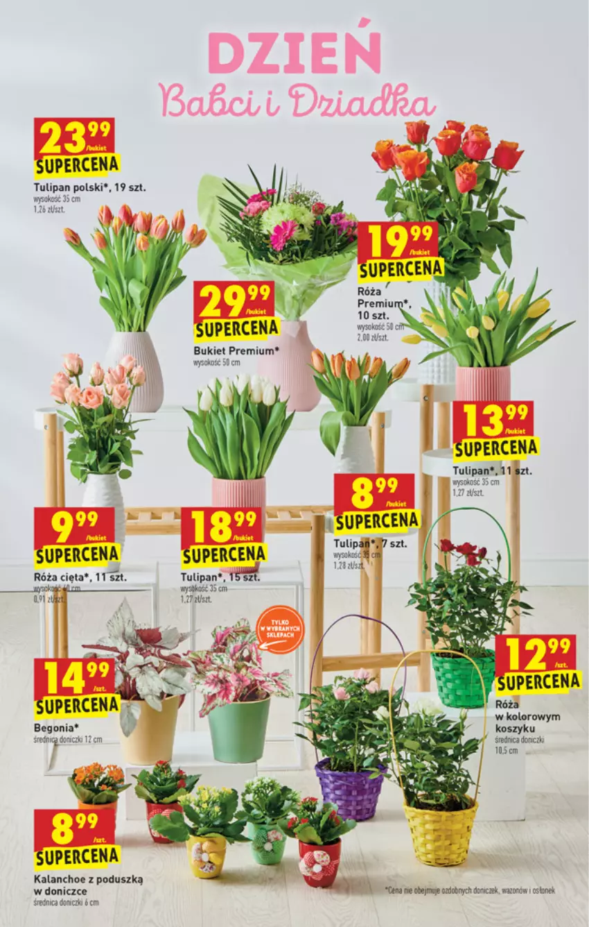 Gazetka promocyjna Biedronka - ważna 19.01 do 01.02.2022 - strona 51 - produkty: Bukiet, Kalanchoe, Kosz, Róża, Sok, Tulipan, Wazon