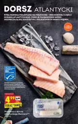 Gazetka promocyjna Biedronka - Gazetka - ważna od 01.02 do 01.02.2022 - strona 24 - produkty: Polędwica, Por, Ryba, Dorsz