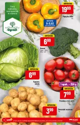 Gazetka promocyjna PoloMarket - Gazetka pomocyjna - Gazetka - ważna od 14.03 do 14.03.2023 - strona 10 - produkty: Papryka, Ziemniaki, Papryka żółta, Ogród, Pomidory, Fa