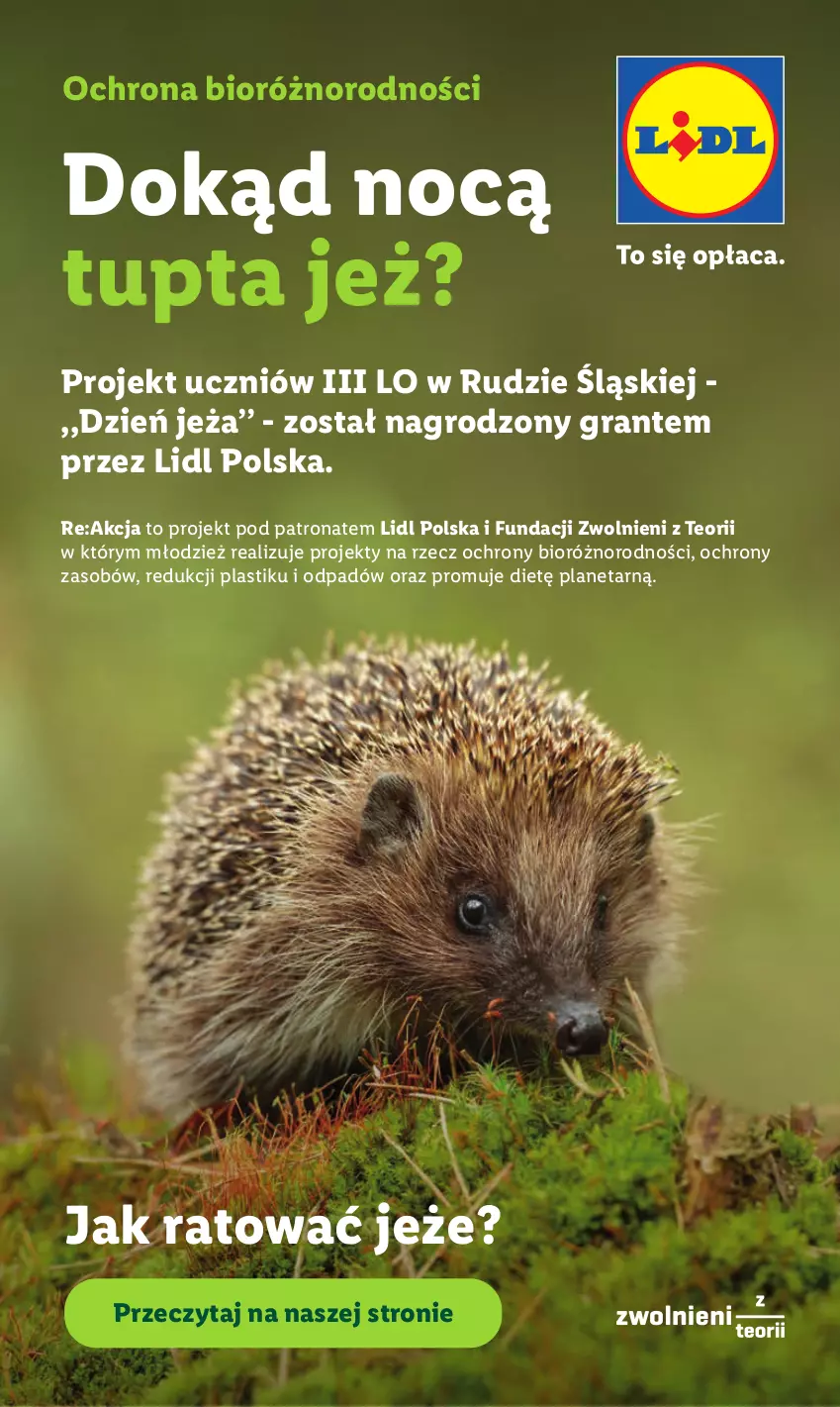 Gazetka promocyjna Lidl - Gazetka ważna od 25.06 do 28.06 - ważna 25.06 do 28.06.2026 - strona 95 - produkty: Gra