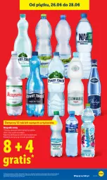 Gazetka promocyjna Lidl - Gazetka ważna od 25.06 do 28.06 - Gazetka - ważna od 28.06 do 28.06.2026 - strona 5 - produkty: Gra