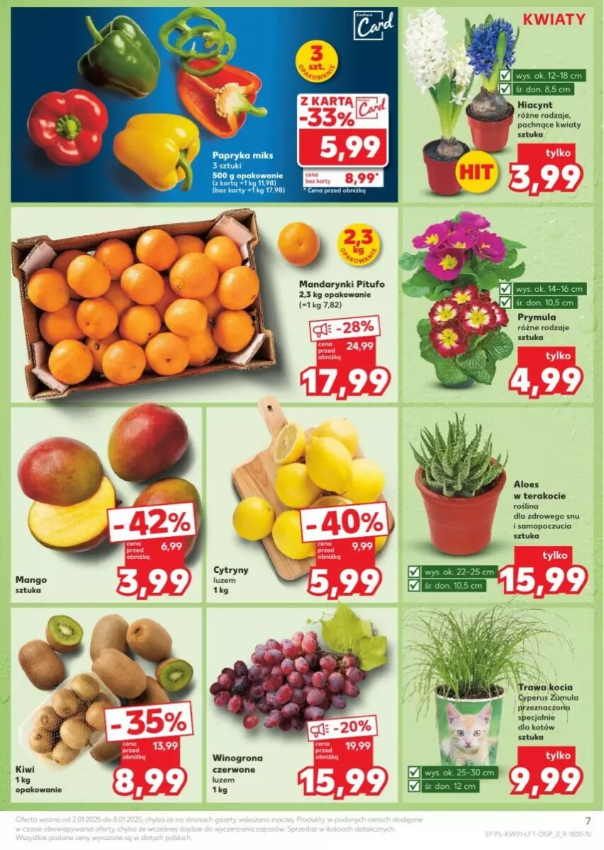 Gazetka promocyjna Kaufland - ważna 02.01 do 08.01.2025 - strona 67 - produkty: Cytryny, Hiacynt, Kiwi, Koc, Mandarynki, Mango, Mop, Papryka, Prymula, Tera, Wino, Winogrona