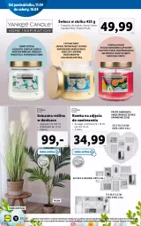 Gazetka promocyjna Lidl - GAZETKA - Gazetka - ważna od 16.04 do 16.04.2022 - strona 12 - produkty: Sok, Tropical, Ramka, Palma, Grejpfrut