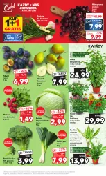 Gazetka promocyjna Kaufland - od Poniedziałku - Gazetka - ważna od 12.08 do 12.08.2023 - strona 9 - produkty: Por, Gra, Róża, Gruszki, Winogrona, Wino, Grunt, Rzodkiewka