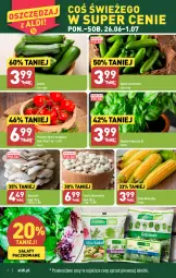 Gazetka promocyjna Aldi - Pełen katalog od 26.06 - Gazetka - ważna od 01.07 do 01.07.2023 - strona 2 - produkty: Sałat, Fasola, Bazyl, Bazylia, Pomidory, Boczniak, Fa