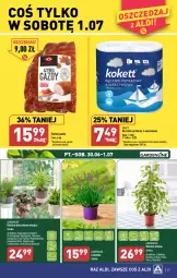 Gazetka promocyjna Aldi - Pełen katalog od 26.06 - Gazetka - ważna od 01.07 do 01.07.2023 - strona 23 - produkty: Sok, Tera, Szynka, Ręcznik, Rolki, Fa