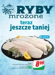 Gazetka promocyjna Dino - Gazetka 2 - Gazetka - ważna od 16.01 do 16.01.2024 - strona 20 - produkty: Tera, Panga, Lazur, HP