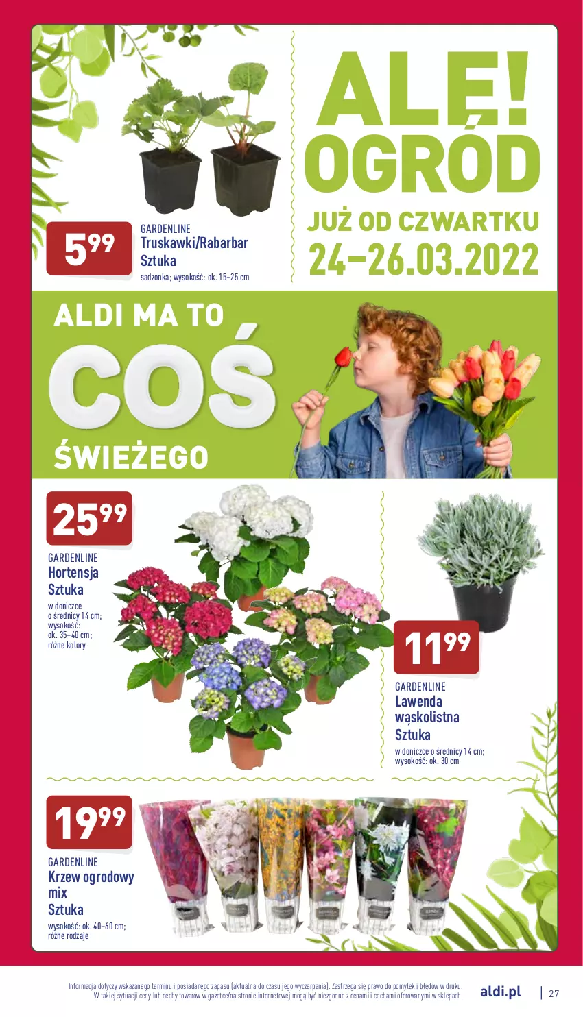 Gazetka promocyjna Aldi - Katalog spożywczy - ważna 21.03 do 26.03.2022 - strona 27 - produkty: Sok, Truskawki