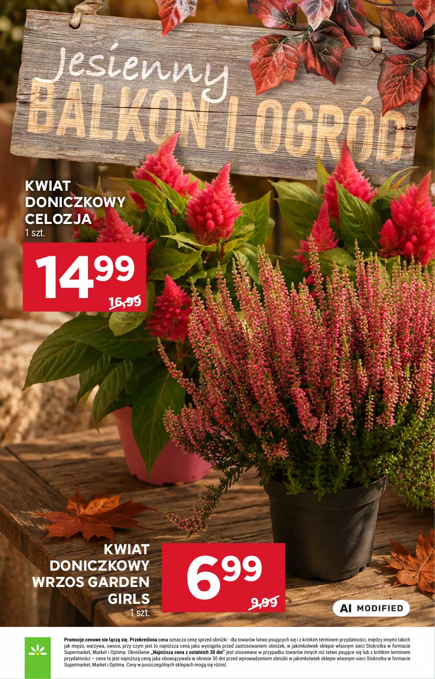 Gazetka promocyjna Stokrotka - Supermarket - ważna 03.09 do 09.09.2026 - strona 56