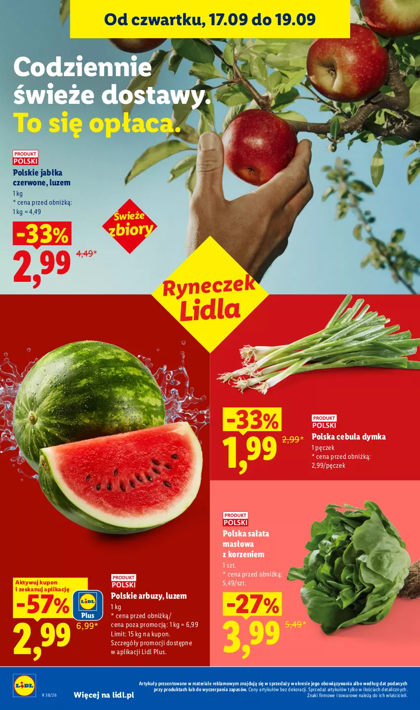 Gazetka promocyjna Lidl - Gazetka ważna od 17.09 do 19.09 - ważna 17.09 do 19.09.2026 - strona 42 - produkty: Arbuz, Cebula, Jabłka, Masło, Sałat, Sałata masłowa