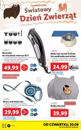 Gazetka promocyjna Lidl - GAZETKA - Gazetka - ważna od 03.10 do 03.10.2021 - strona 32 - produkty: Top, Podkładka, Szynka, Smycz, Olej, Miska, Podkład