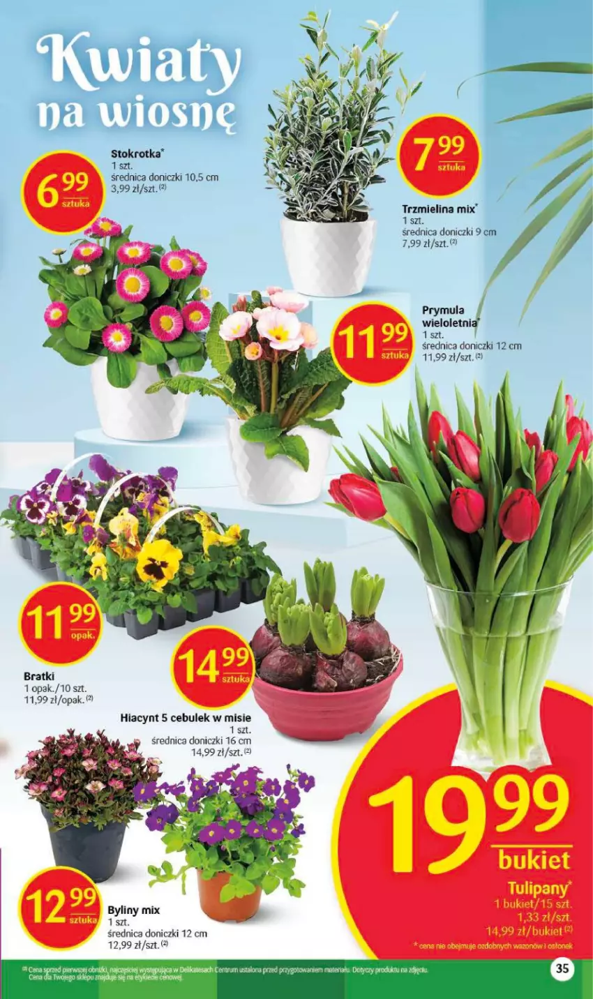 Gazetka promocyjna Delikatesy Centrum - Gazetka DC12 - ważna 23.03 do 29.03.2023 - strona 35 - produkty: Bukiet, Hiacynt, Prymula, Tulipan, Wazon