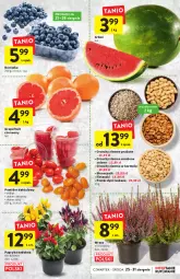 Gazetka promocyjna Intermarche - Gazetka Intermarche - Gazetka - ważna od 31.08 do 31.08.2022 - strona 7 - produkty: Gra, Borówka, Papryka, Pestki dyni, Arbuz