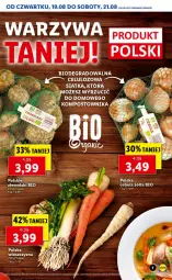 Gazetka promocyjna Lidl - GAZETKA - Gazetka - ważna od 21.08 do 21.08.2021 - strona 7 - produkty: Cebula, Gra, Ziemniaki, Siatka