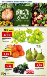 Gazetka promocyjna Lidl - GAZETKA - Gazetka - ważna od 21.08 do 21.08.2021 - strona 8 - produkty: Mandarynki, Por, Jeżyny, Gruszki, Winogrona, Wino
