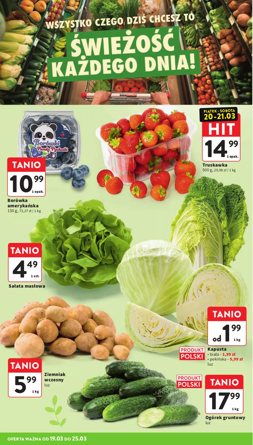 Gazetka promocyjna Intermarche - Gazetka promocyjna - ważna 19.03 do 25.03.2026 - strona 20 - produkty: Borówka, Borówka amerykańska, Grunt, Masło, Ogórek, Sałat, Sałata masłowa