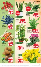 Gazetka promocyjna Kaufland - OFERTA TYGODNIA - Gazetka - ważna od 23.02 do 23.02.2022 - strona 13 - produkty: Truskawki, Kiwi, Bukiet