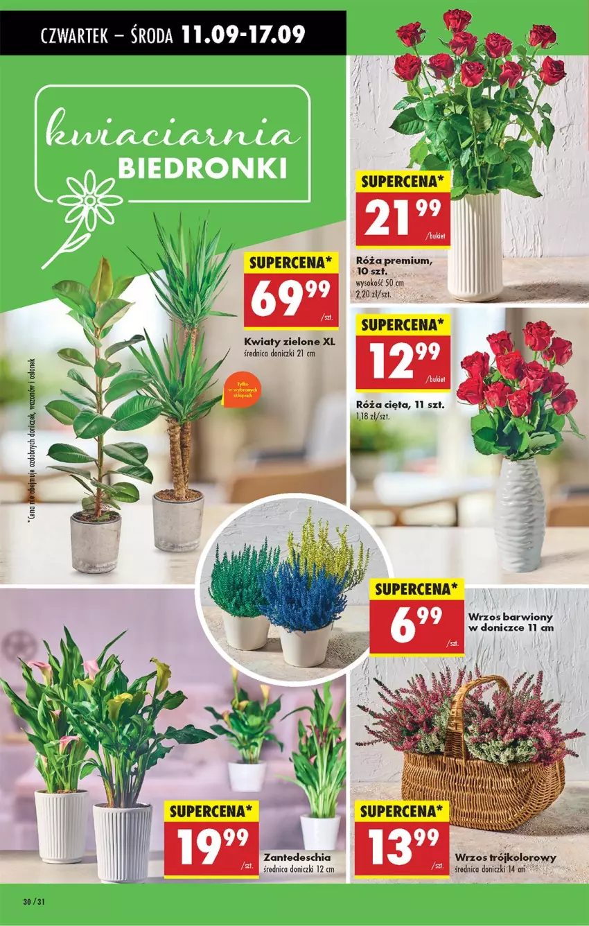 Gazetka promocyjna Biedronka - Od Czwartku - ważna 11.09 do 17.09.2025 - strona 30 - produkty: Chia, Róża, Sok, Wazon