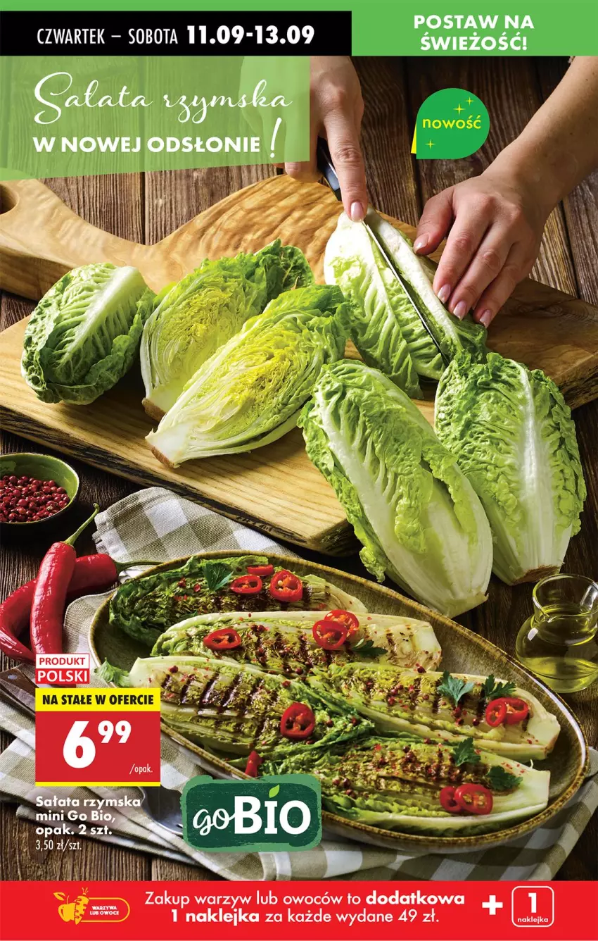 Gazetka promocyjna Biedronka - Od Czwartku - ważna 11.09 do 17.09.2025 - strona 64 - produkty: Klej