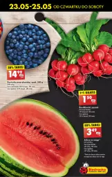 Gazetka promocyjna Biedronka - Od czwartku - Gazetka - ważna od 29.05 do 29.05.2024 - strona 19 - produkty: Borówka, Borówka amerykańska
