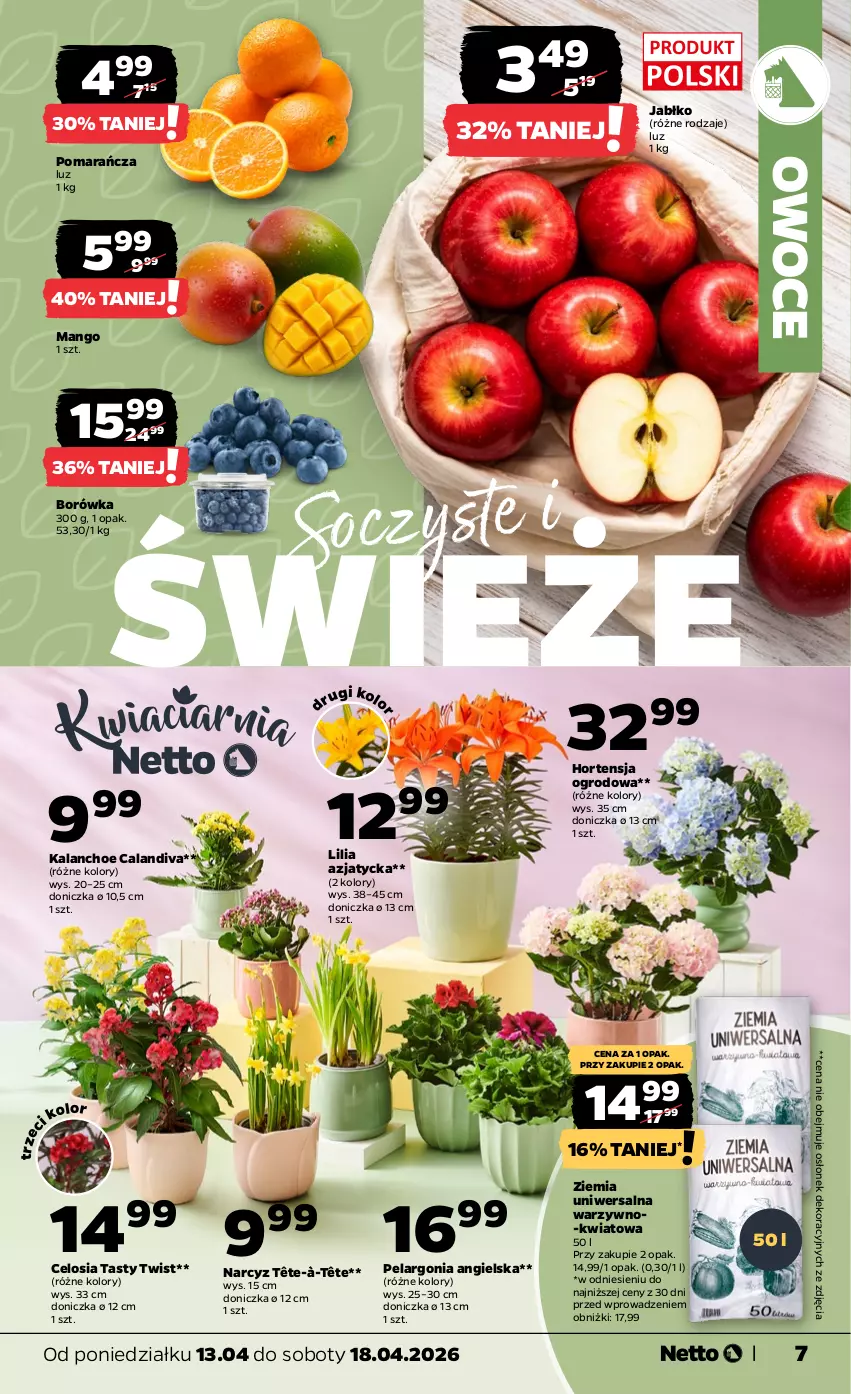 Gazetka promocyjna Netto - Od Poniedziałku - ważna 13.04 do 18.04.2026 - strona 7 - produkty: Borówka, Kalanchoe, Mango, Narcyz, Owoce