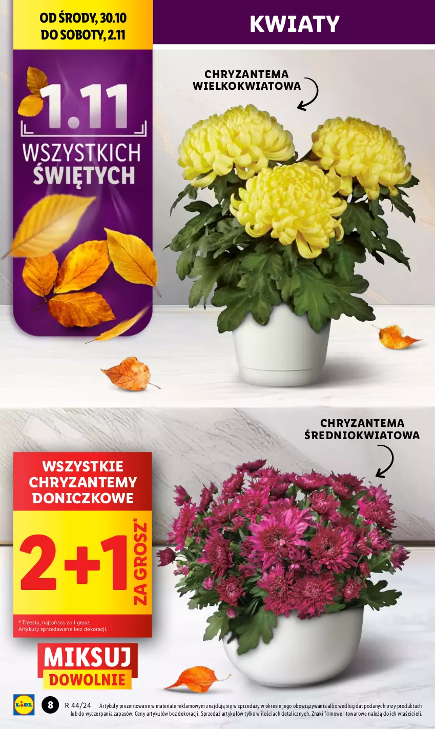 Gazetka promocyjna Lidl - GAZETKA - ważna 30.10 do 02.11.2024 - strona 8 - produkty: Chryzantema